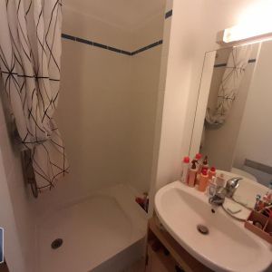 Location Appartement 1 pièce 24m² NANTES 44100 - Photo 2