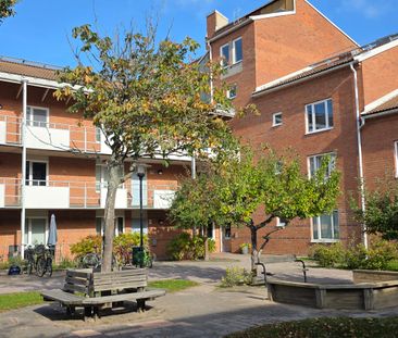 Skolörtsgången, Nyköping - Foto 4