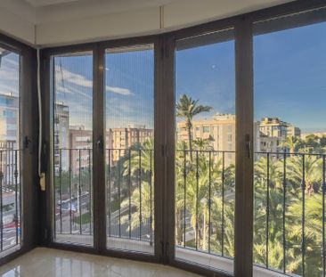 Elche - Photo 3