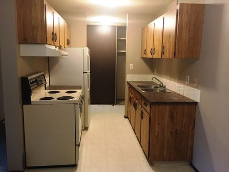 Spacious 1 Bedroom Apartment Located in a Well-Maintained Building - Photo 2