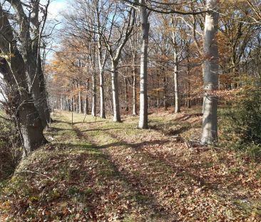 Uitzonderlijk gelegen villa. - Photo 3