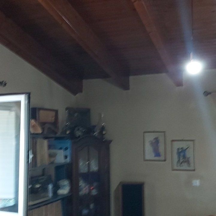 Μονοκατοικία για ενοικίαση - Σαλαμίνα - Photo 1