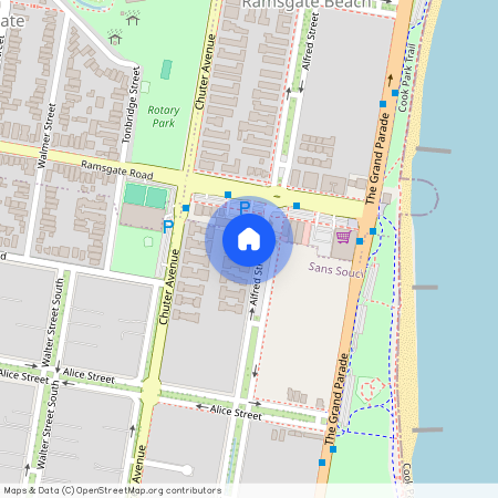 13/99-101 Alfred Street, NSW 2219, Sans Souci