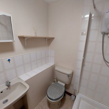 Burgess Road, Southampton - Photo 3