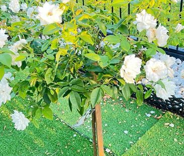 Warwick Farm - Photo 3