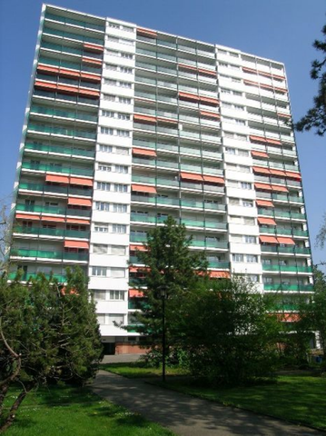 2.5 Zimmerwohnung im Lehenmattquartier - Foto 4