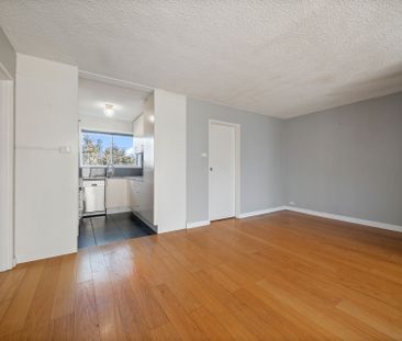 Light Filled updated Two Bedroom - Photo 2