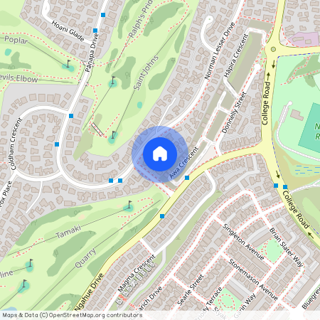 210 Norman Lesser Drive, St Johns, Auckland