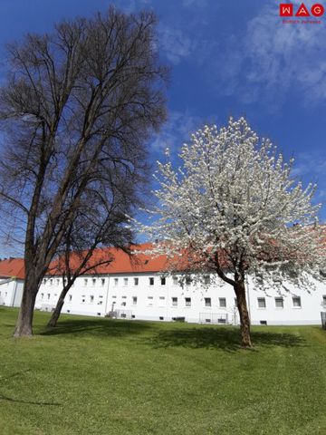Freundliche 3-Zimmer-Wohnung in grüner Stadtrandlage von Steyr-Münichholz – hell, modern und ideal für entspanntes Wohnen mit Komfort und Charme nach umfassender Sanierung! - Foto 3