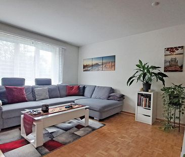 3 Zimmer Wohnung - Photo 2