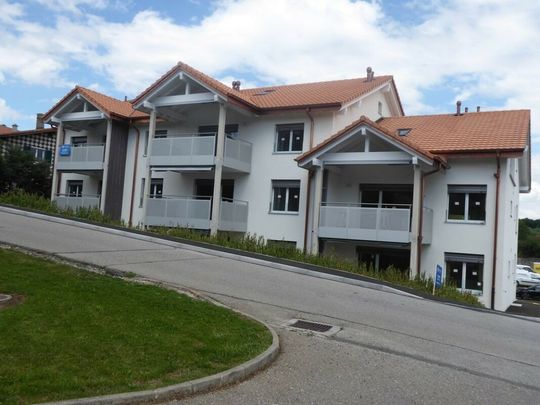 FARVAGNY-LE-PETIT - 3.5 pièces au 1er étage - Photo 1