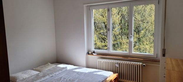 gemütliches Zuhause mitten in Luzern - Foto 1