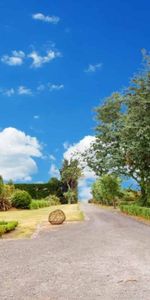 Ohakea - 4 Bedrooms - Photo 4