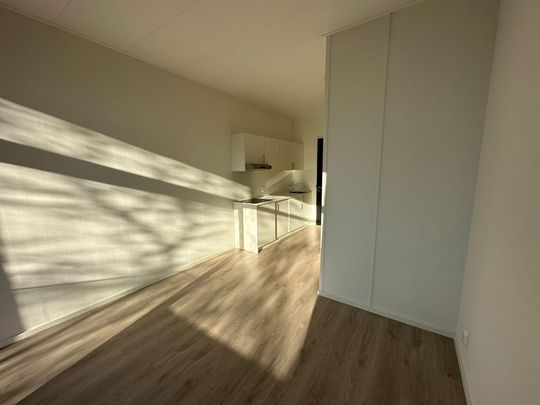 Te huur: Studio Flintstraat in Emmen - Foto 1