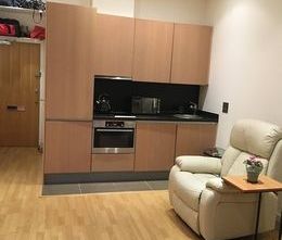 Studio Flat, Bromyard House, W3 - Photo 6