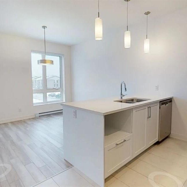 655 Boulevard Du Plateau (Plateau) Tous Inclus 4 1/2 - Photo 1