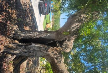 WIDE ESTATE FOR RENT IN TEULADA FOR LONG TERM