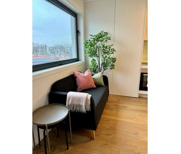 Rua Horácio Marçal, Porto, Braga 4200 - Photo 5