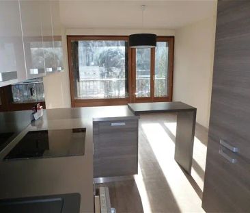 Location appartement 2 pièces - 37.8m² à Fontaine (38600) - Photo 6