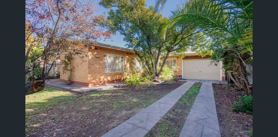 12 Dutton Terrace, Medindie, SA 5081 - Photo 2