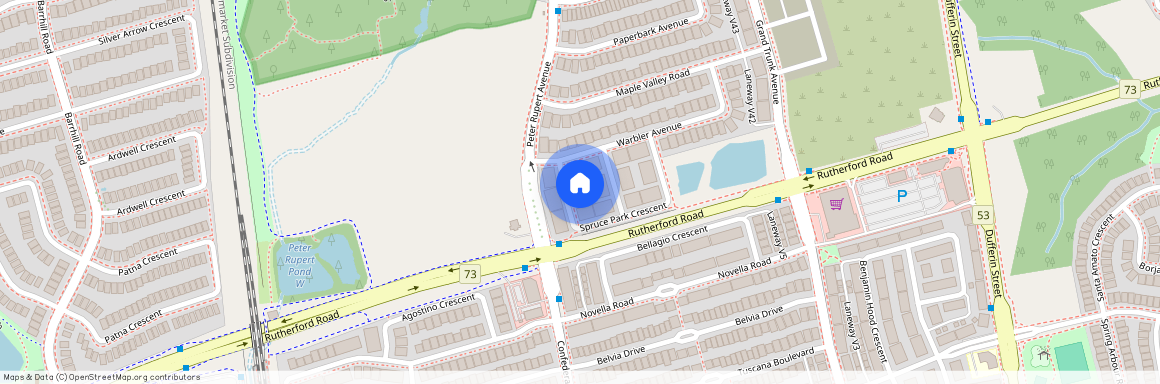 21 Spruce Pine Crescent, Vaughan