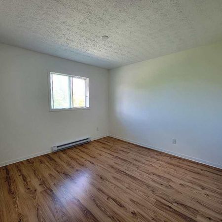 Appartement 4 ½ à louer – Disponible dès le 1er juin - Photo 3