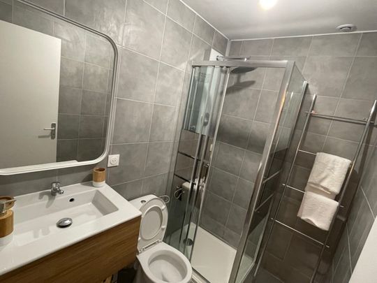 Location Appartement 1 pièce 25m² LILLE 59000 - Photo 1