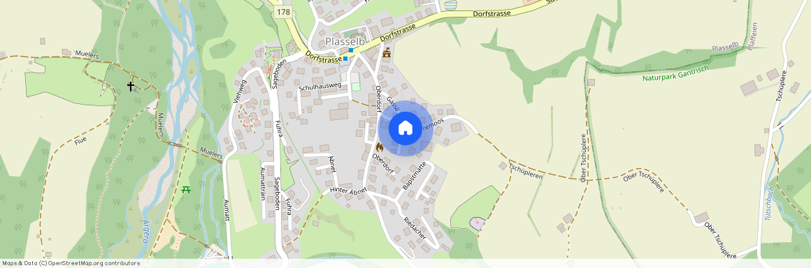 1737, Plasselb, Herremoos, 18