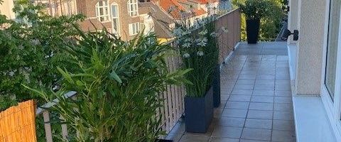 Charmantes Penthouse mit Balkon in Essen Südviertel - Photo 1