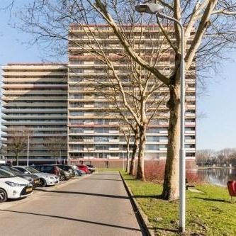 Oost Dorsch, 1504 Zaandam, Nederland - Foto 4