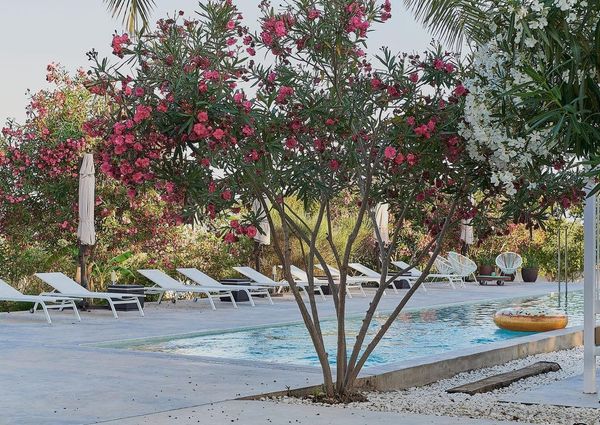 181 Diseminado P 22 P Den Vall, Santa Eulària des Riu, Balearic Islands