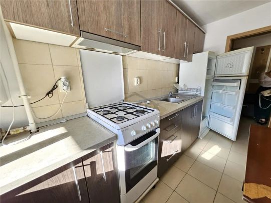 Apartament 1 camera, de inchiriat, pet friendly, zona Calea Turzii - Photo 1