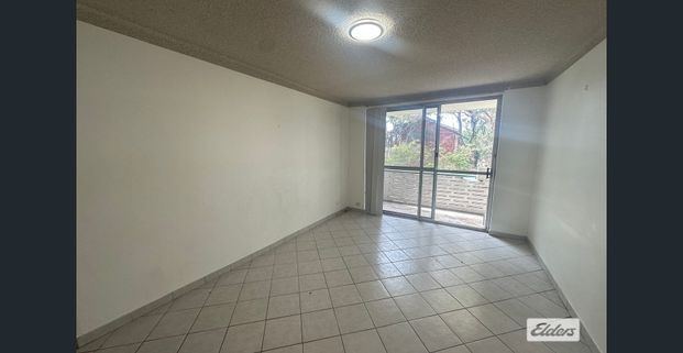 RENOVATED UNIT WITH PARK VIEWS ! - Photo 1