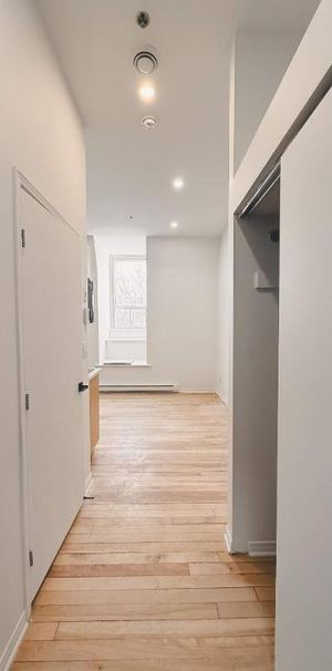 1 CH - 1 SDB - Montréal - $1,195 /mo - Photo 1