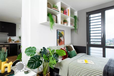 Large High Double Studio - Photo 2