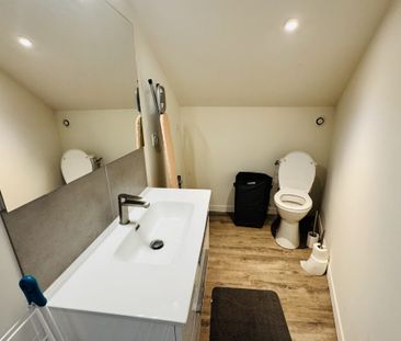 Location Appartement 1 pièce 25m² ROMANS SUR ISERE 26100 - Photo 6