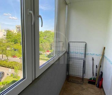 Apartament de Închiriere 2 camere, APCJ357828 - Photo 5