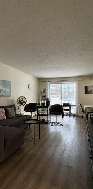 Antoine-du Verdier Appartement 4 ½ à Louer Sainte-Foy / Sillery Juillet 2026 - Photo 1