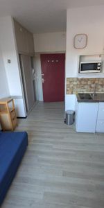 Location Appartement 1 pièce Meublé 17m² AIRE SUR L ADOUR 40800 - Photo 4