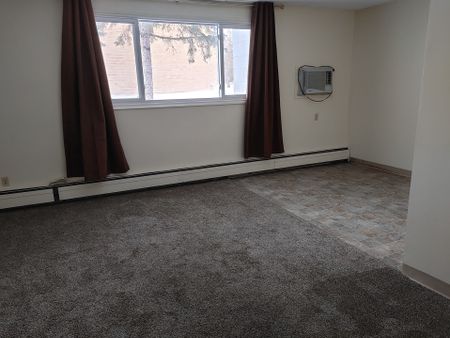 APT 12-51 ROBINSON - Photo 2