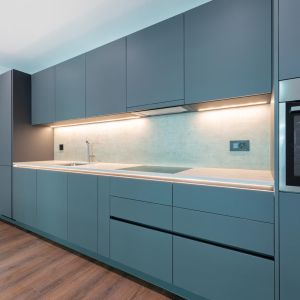 Seemoosholzstrasse 7b, Arbon - Photo 2