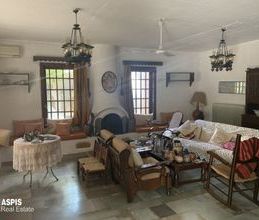 Μονοκατοικία για ενοικίαση - Παλαιά Φώκαια - Photo 1