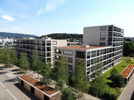 MIETEN OHNE KAUTION - 3.5 Zimmerwohnung mit Sicht auf das Schloss - Photo 1