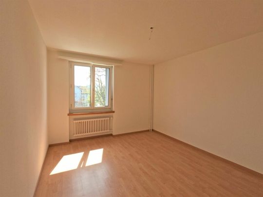 Deine neue Familiewohnung - mit Balkon, grosse Fenster, sonnig, Grillplatz, grosse Spielwiese! - Photo 1