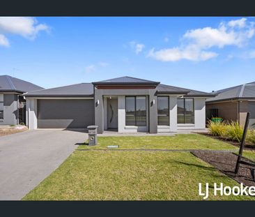 Large 4-bedroom family home - available now - Photo 5