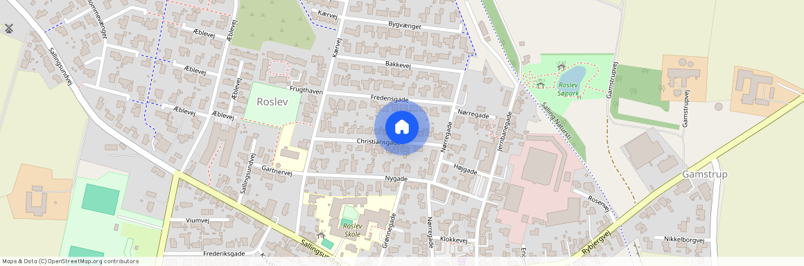 Christiansgade 14, 7870, Roslev