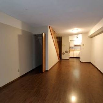 Large 900 sf 2-Level 2-bed1-bath unit in Fairview Slope - Photo 3