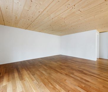 2.5 Zimmer, 49 m², 1. Stock - Photo 1