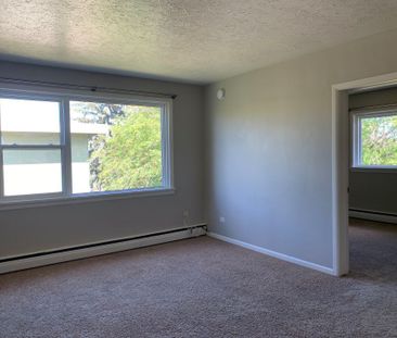 8 4323 51 Avenue - Photo 5