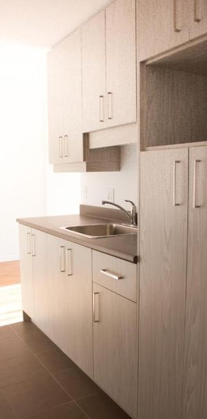 SUPERBE 4 ½ EN COIN 898 PI2 , ENTIÈREMENT RÉNOVÉ - 1 425$ TOUT INCLUS ! DISPONIBLE À PARTIR DE NOVEMBRE - Photo 1